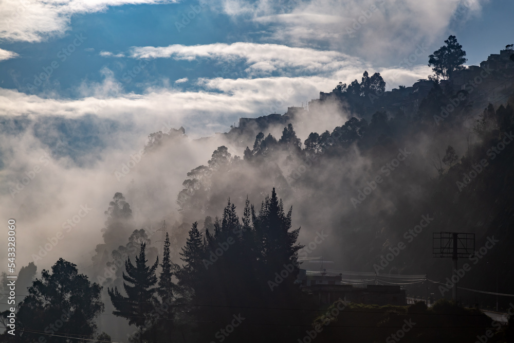 Fototapeta premium Andean landscape