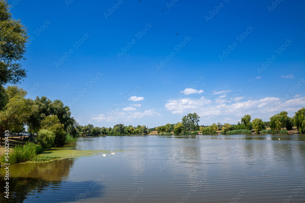 Obraz premium Panorama of Lake Jezero Tresetiste in summer, during a sunny afternoon. Tresetiste is a pond lake in Subotica, near suboticka pescara, in Serbia, vojvodina...