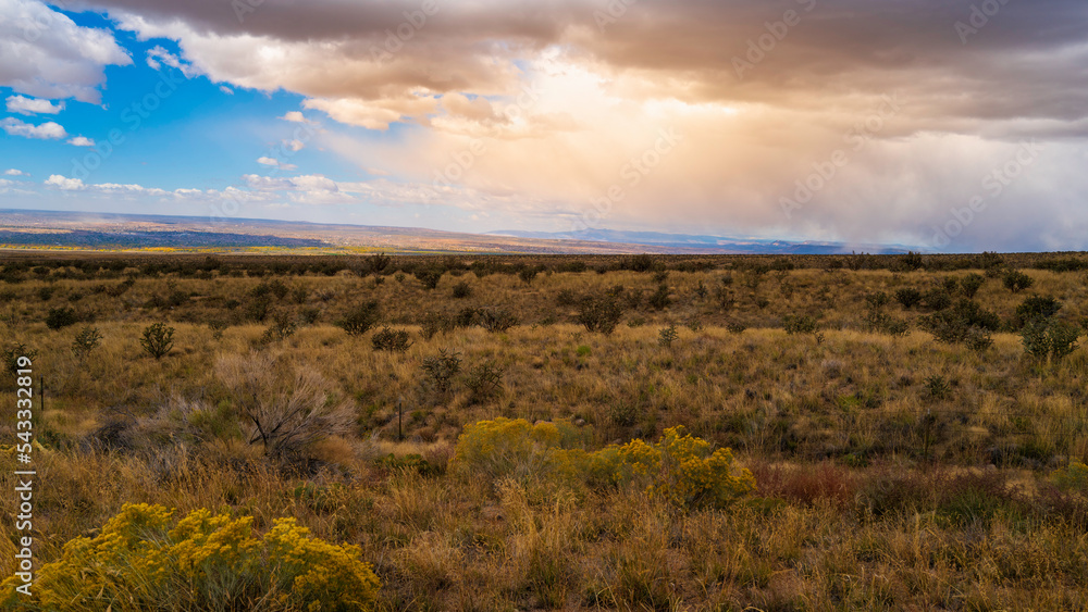 Autumn arid landscape of the wilderness meadow in the Sandia Mountains park in Albuquerque, New Mexico, USA 