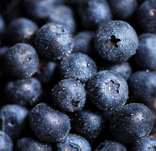 Fresh Blueberries background 