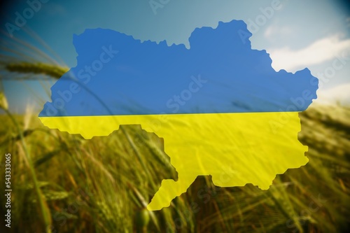 Political map of Ukraine with grain of wheat on the background. Politics and war in Ukraine 2022