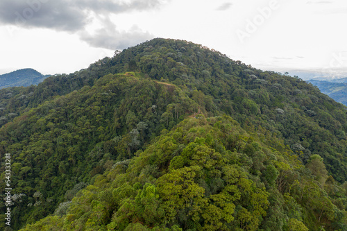 Serranía alto el nudo Pereira Risaralda