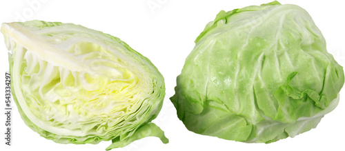Close-up of green cabbage isolated on white background