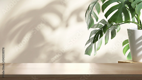 Wooden table counter top with green tropical plant leaf and beautiful sun light and shadow on beige wall for luxury beauty, organic, health, cosmetic, jewelry fashion product display background