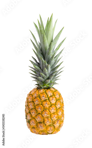pineapple isolated on  transparent png