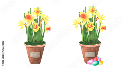 Easter set daffodils bouquet in ceramic pot with colored eggs isolated on white. Watercolor hand drawing illustration
