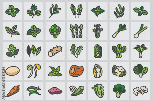 Vegetable flat color line color icons set.