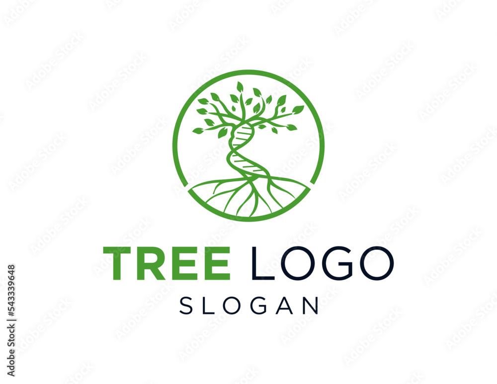 Logo about Tree on white background. created using the CorelDraw application. Logo about Tree on white background. created using the CorelDraw application.
