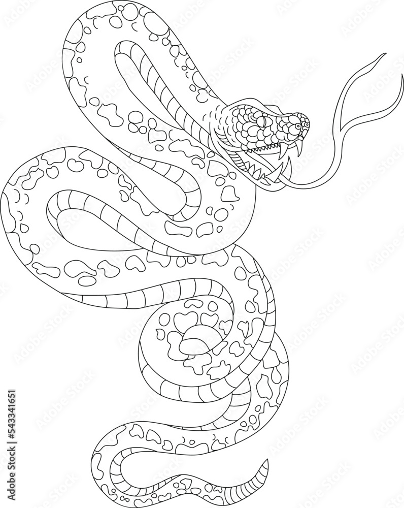 Obraz premium snake cobra tattoo style Cobra vector.