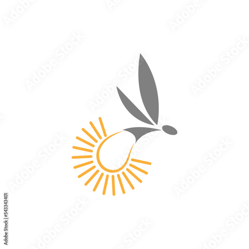 Fototapeta Naklejka Na Ścianę i Meble -  Fireflies logo icon illustration
