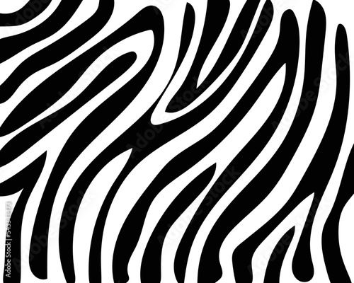 vector draw zebra skin texture.