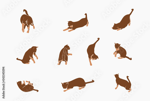 Bundles of brown cat movement vector illustration 