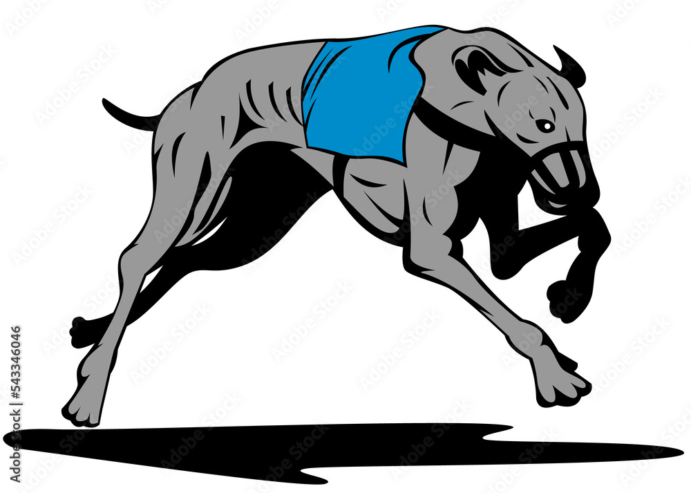 Illustration of a greyhound dog racing done in retro style. Illustration of a greyhound dog racing done in retro style.