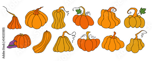 Autumn design template, hand drawn pumpkins, flat vector illustration © crafftiss