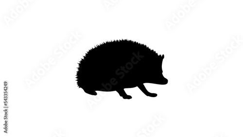 hedgehog silhouette