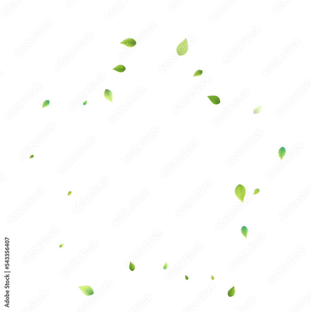Leaves Green Falling Flying Foliage Leaf Tea Mint Leaves Green Falling Flying Foliage Leaf Tea Mint