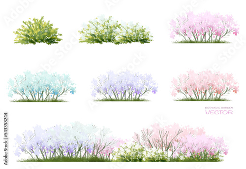Vector watercolor blooming flower tree or forest side view isolated on white background for landscape and architecture drawing,elements for environment and garden,botanical for section in spring 