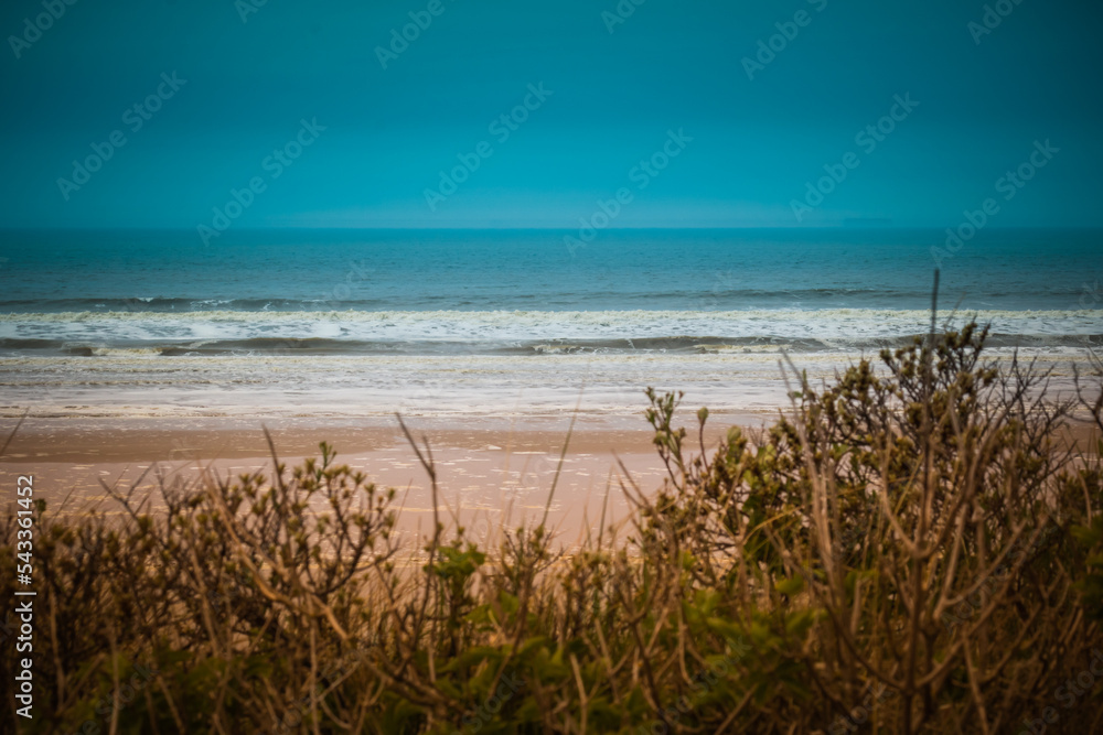 Plage sauvage dans le nord de la France Plage sauvage dans le nord de la France