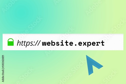 expert Domain-Endung: Website-URL mit der Top Level Domain expert in der Adresszeile eines Browsers