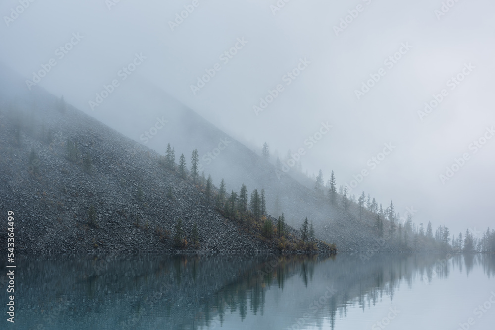 Fototapeta premium Tranquil meditative misty scenery of glacial lake with pointy fir tops reflection at early morning. Graphic EQ of spruce silhouettes on hill near calm alpine lake in mystery fog. Ghostly mountain lake