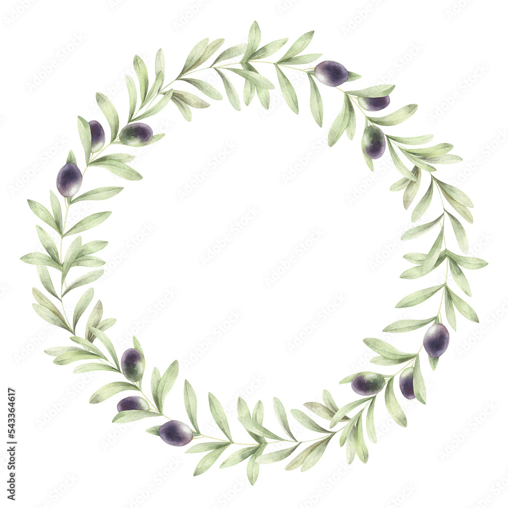 Watercolor olive wreath isolated on white. Floral frame with watercolor plant. Watercolor hand painted olive wreath.