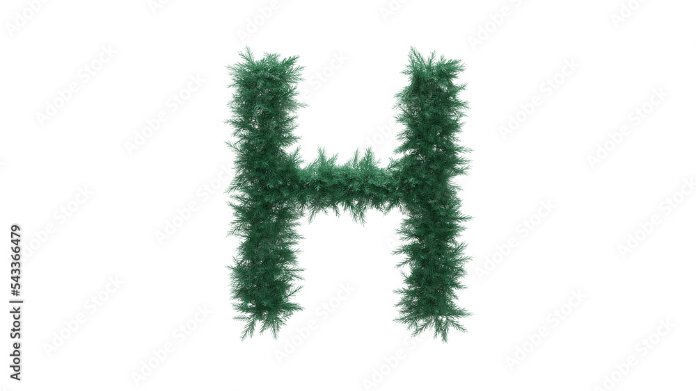 Capital letter H from Christmas tree twigs on transparent background. Christmas alphabet. Letters from Christmas tree branches without decorations. 3d illustration