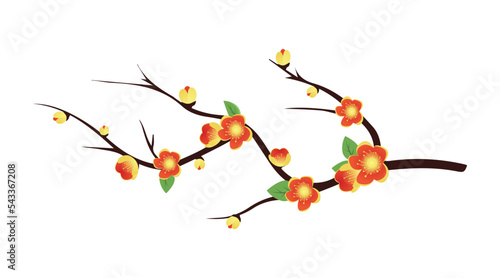 Vietnamese Tet holiday with yellow flower