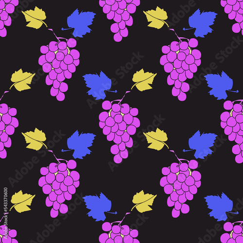 Vector seamless pattern of a vine.Grape variety Cardinal.Image on white and colored background.