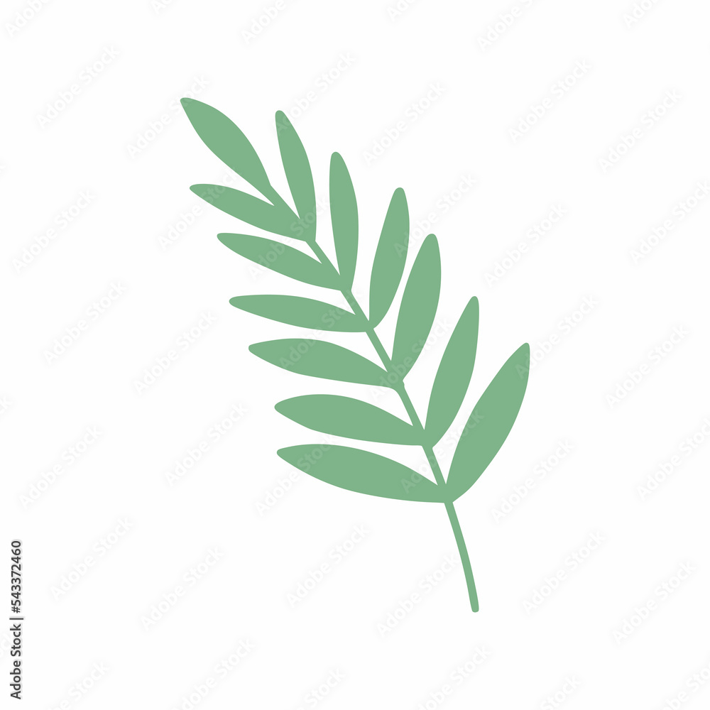 Fototapeta premium Tropical green leaf. African plant. Branch of palm tree.