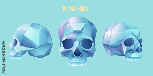 humanSkull