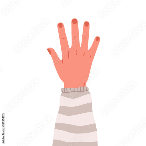 Male hand raised up, dorsal side. Men arm with neat fingers, nails, rising to vote. Human wrist with sweater cuff. Flat vector illustration isolated on white background