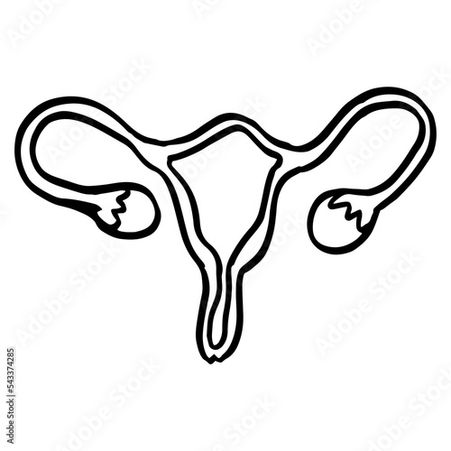 Female uterus doodle icon vector isolated. Symbol of a female internal organ, womb and ovary. Health and medicine concept.