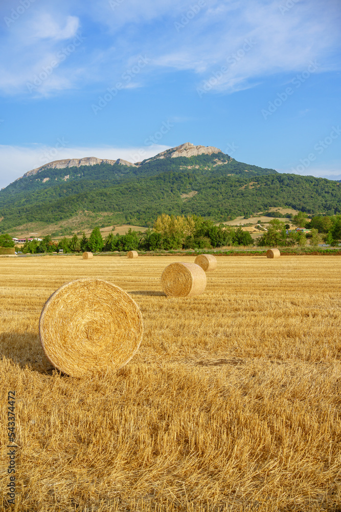 Vertical view of an agriculture field in summer after the harvest in Álava, Spain