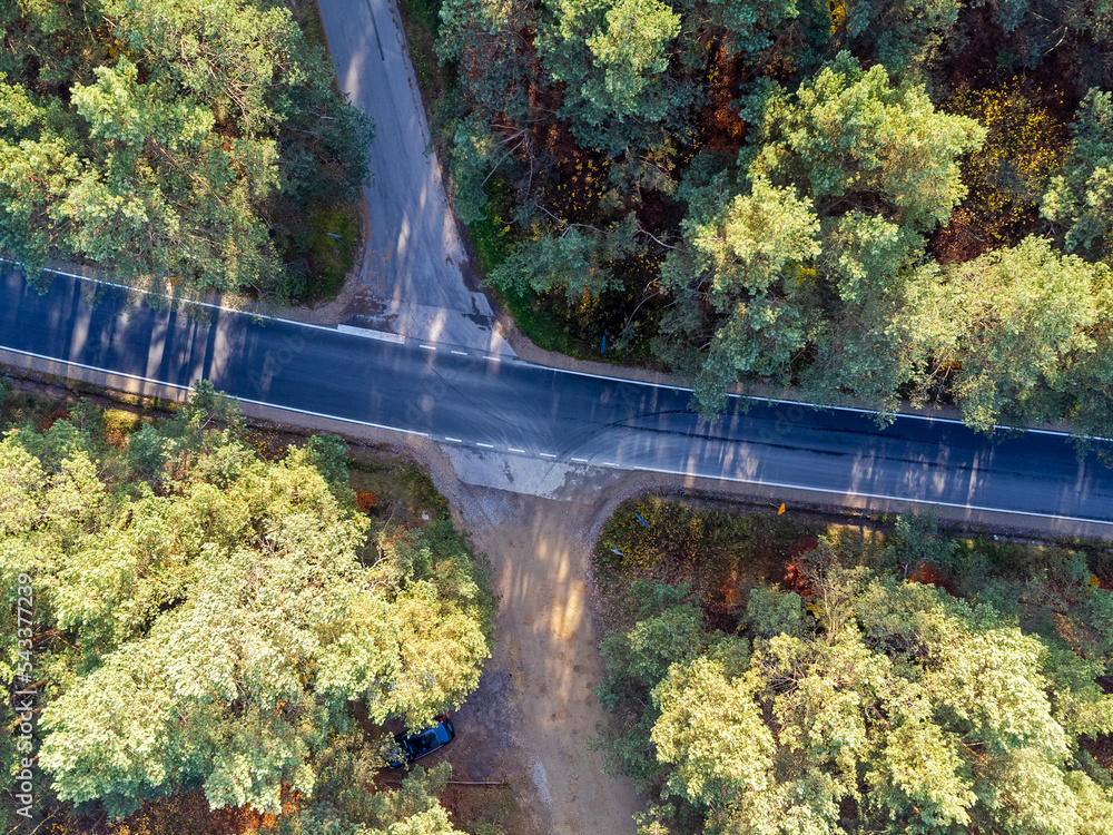 Street and forest seen from above. Drone photo, bird's eye view. Street, road, trees, forest, nature.