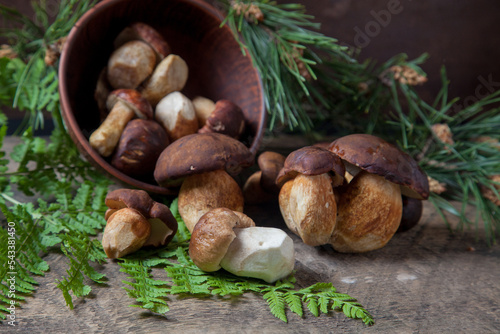 Imleria Badia or Boletus badius mushrooms commonly known as the bay bolete and Porcini mushroom commonly known as Boletus Edulis, clay bowl with mushrooms on vintage wooden background..