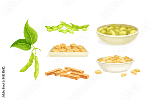 Soy Products with Legume Pod, Beans in Bowl and Meat Slabs Vector Set