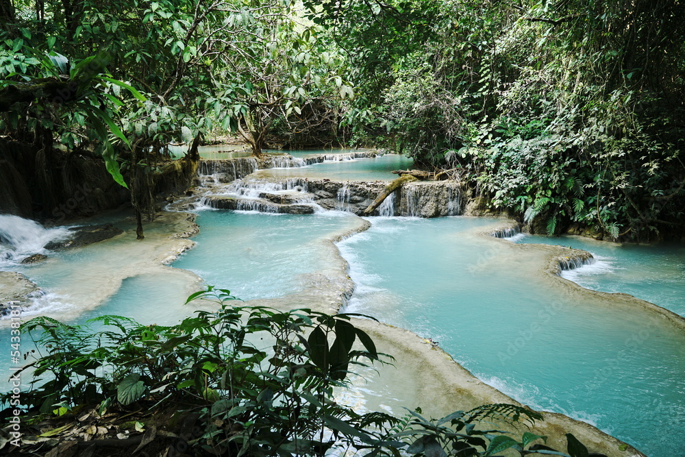 Naklejka premium waterfall in the forest