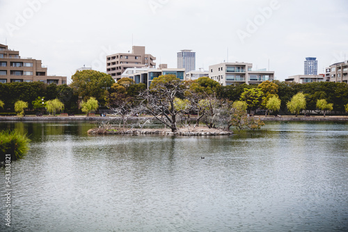 Fukuoka Japan - Pond in the Park