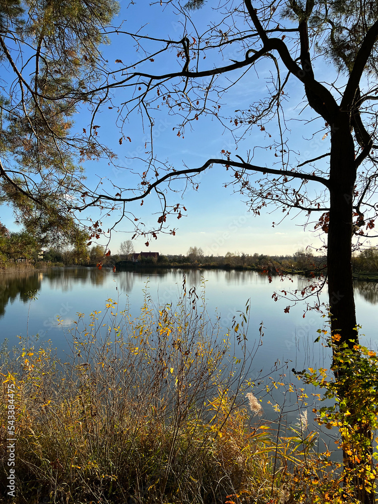 Autumn mood landscape with lake and forest in the perfect sunny weather Autumn mood landscape with lake and forest in the perfect sunny weather