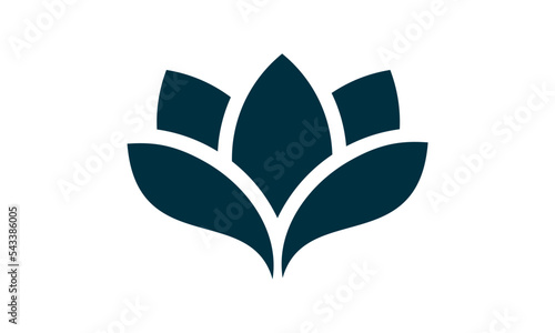 illustration of a lotus logo