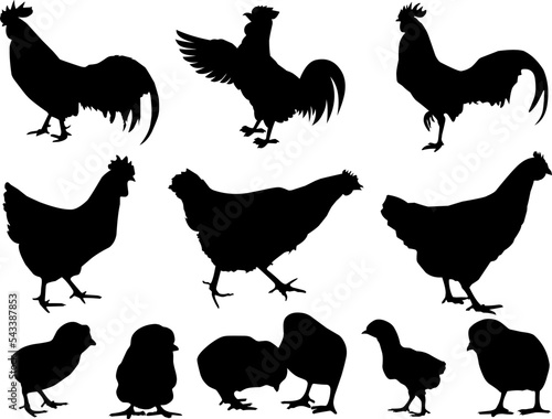 Set of Chickens