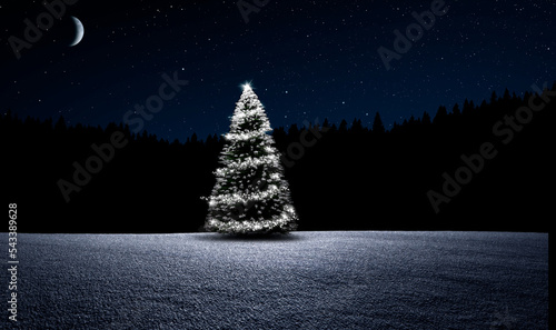 Weihnachtsbäumchen in Schneelandschaft bei Nacht