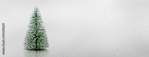 Weihnachtsbaum isoliert vor weißem Hintergrund