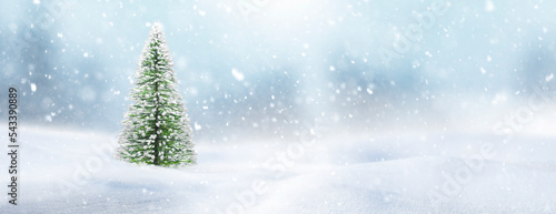 Weihnachtsbaum in Schzneelandschaft bei Schneefall