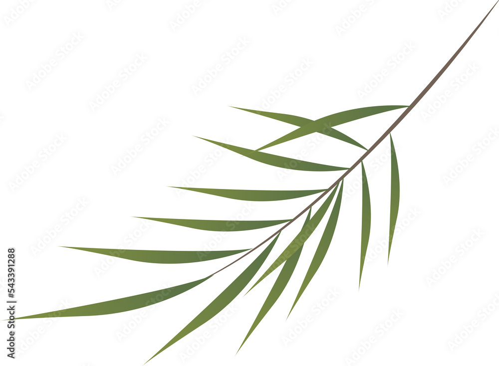 Fototapeta premium Leaf Branch Illustration