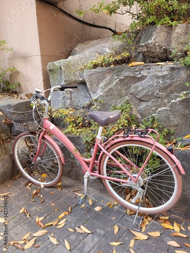 Pink bike