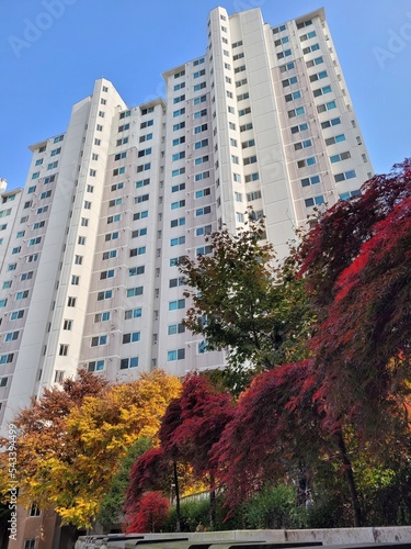 The apartment and tree