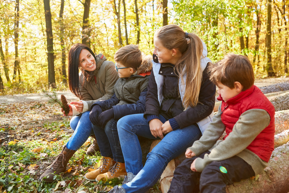 Kinder und Lehrerin beim Baumkunde Unterricht im Wald
