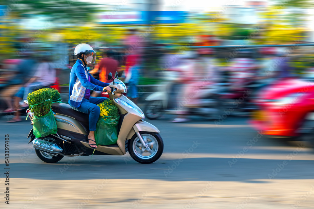People Vietnamese driving a motorbike with holder flower or kumquat pot behind decoration purposes house for Lunar new year in Ho Chi Minh, Vietnam