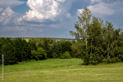 View of the meadows and trees in the forest in summer. Trees in greenery and meadows on the horizon. Summer day in nature.